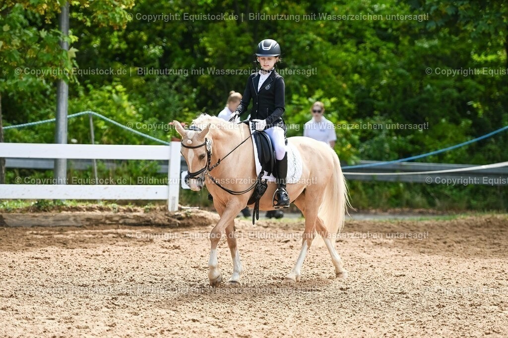 20230716_10-3_Reiter-WB Schritt - Trab - Galopp_0103 | equistock