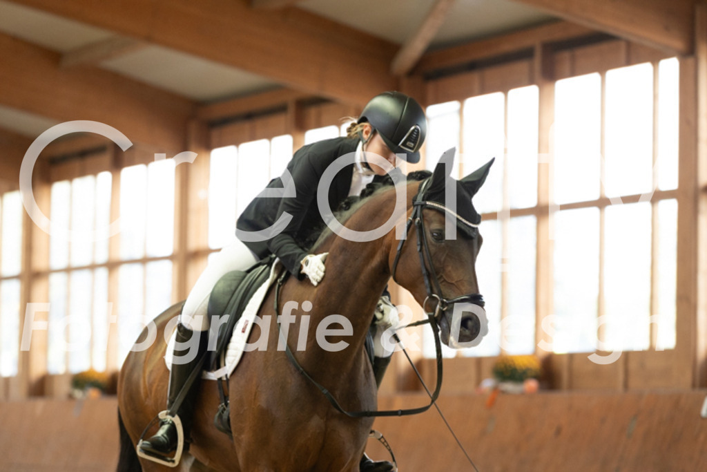 IMG_1576 | Creatify Fotografie