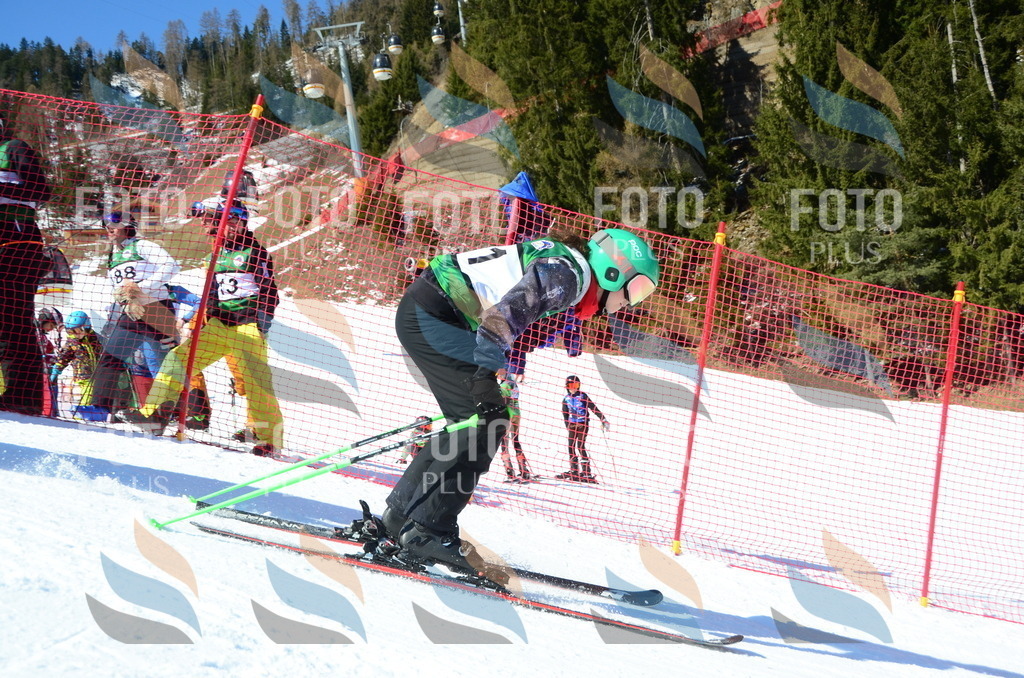 C6307 | holidayphoto