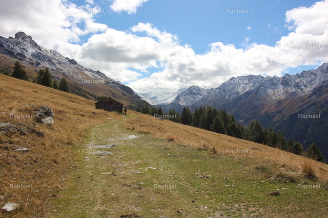 IMG_3560 | Raphael - Realisiert mit Pictrs.com