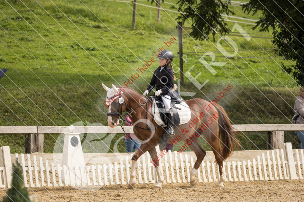 CON_0189 | Sport-, Event- und Tierfotos in Profiqualität. Einfach auswählen, bestellen und herunterladen. Dein Moment – perfekt festgehalten.