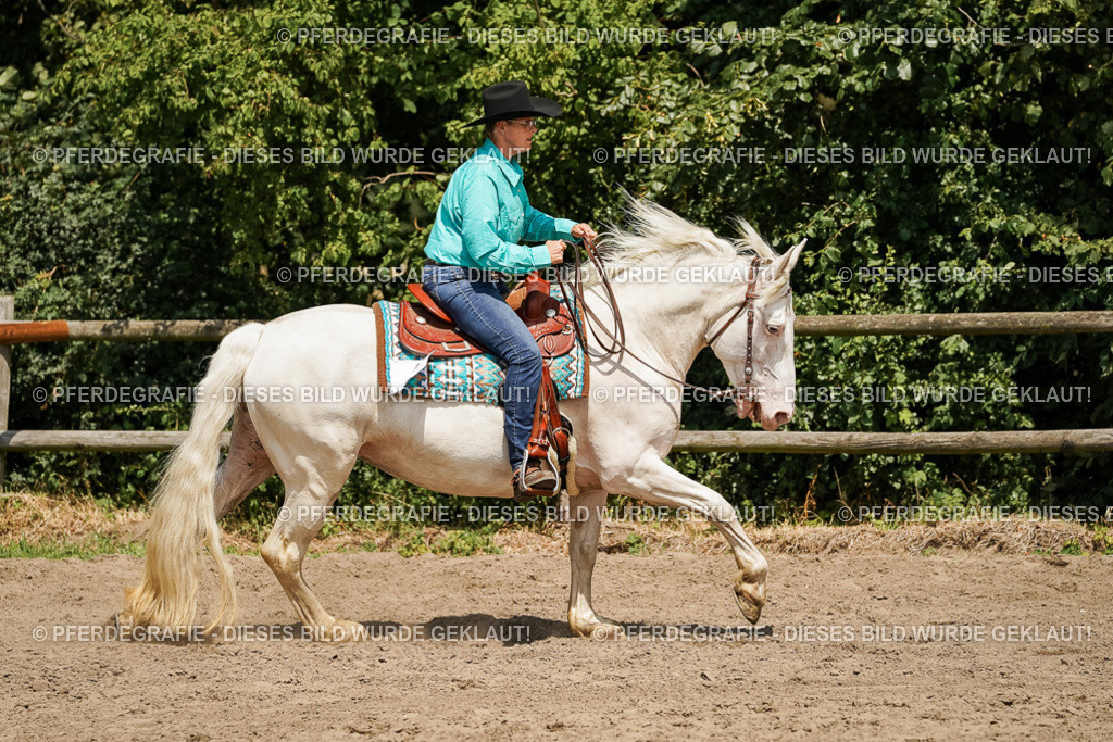 DSC09660 | Pferdegrafie