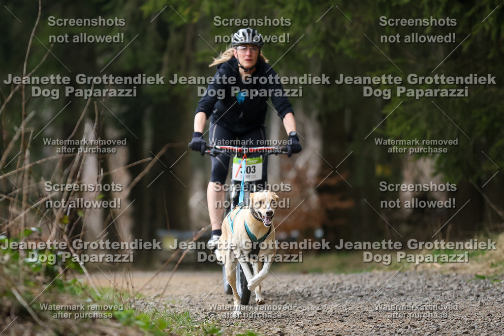 Dog Paparazzi - VCC26-568 | Dog Paparazzi Jeanette Grottendiek Fotografie & Videografie - Realisiert mit Pictrs.com