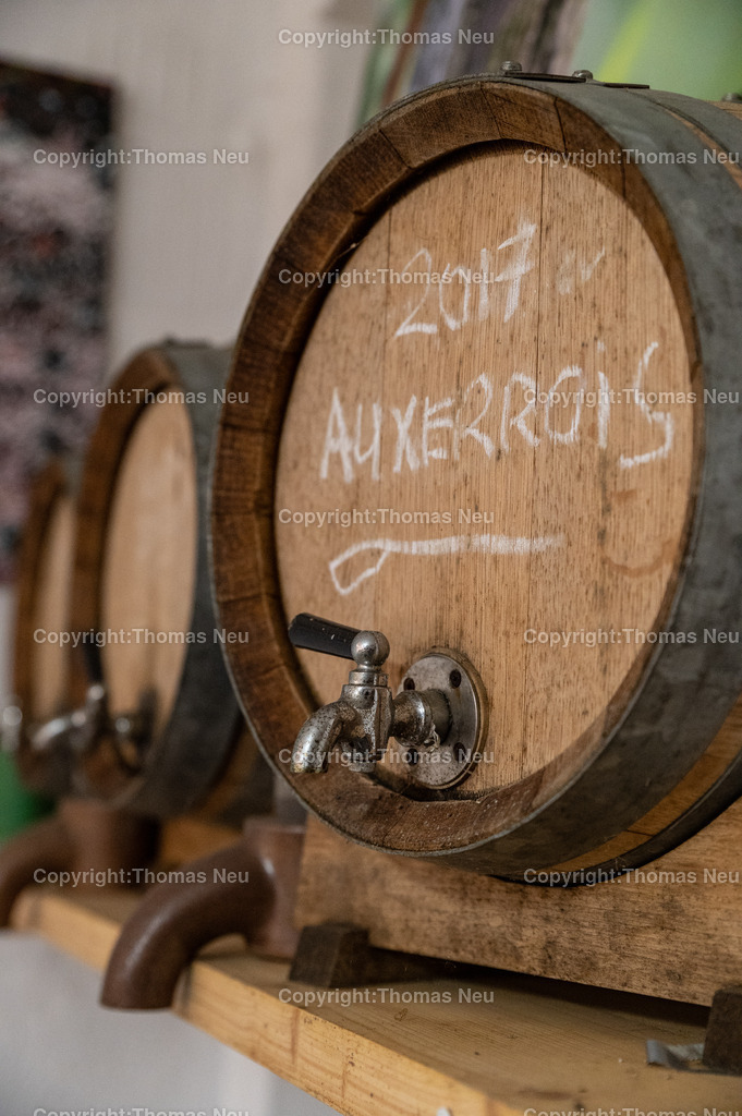 DSC_6245 | bss, Bensheim, Winzerfestbeilage 2022, , Hanno Rothweiler,  ,, Bild: Thomas Neu