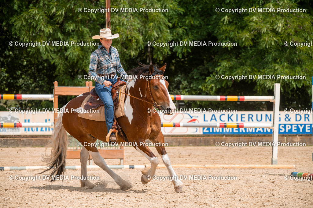 EWP_6144 | dv-media-shop - Realisiert mit Pictrs.com