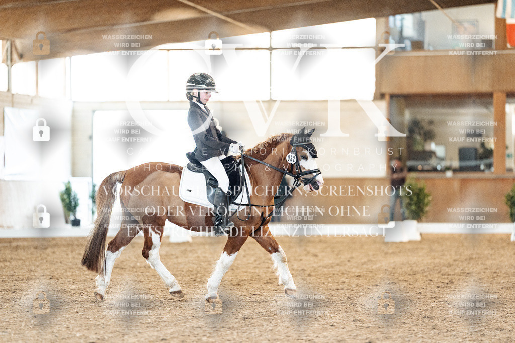 CK907274 | Turnierfotografie Pferdefotografie Trier Rheinland-Pfalz Pferdesport Reitsport Tierfotografie Sportfotografie Pferdevideo Pferdevideografie Equestrianvideography equestrianphotography  - Realisiert mit Pictrs.com