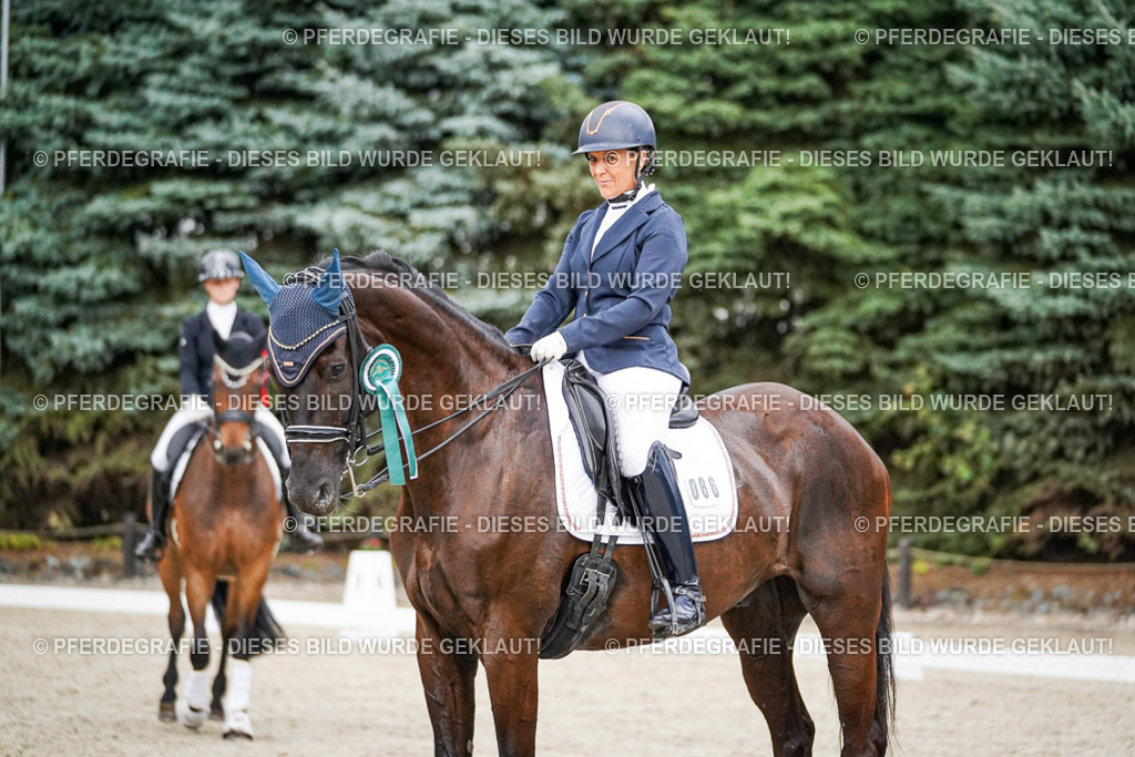 DSC09956 | Pferdegrafie