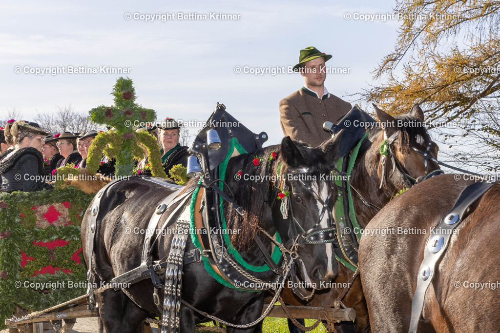 LBT24-1560 | foto-bettina-krinner - Realisiert mit Pictrs.com