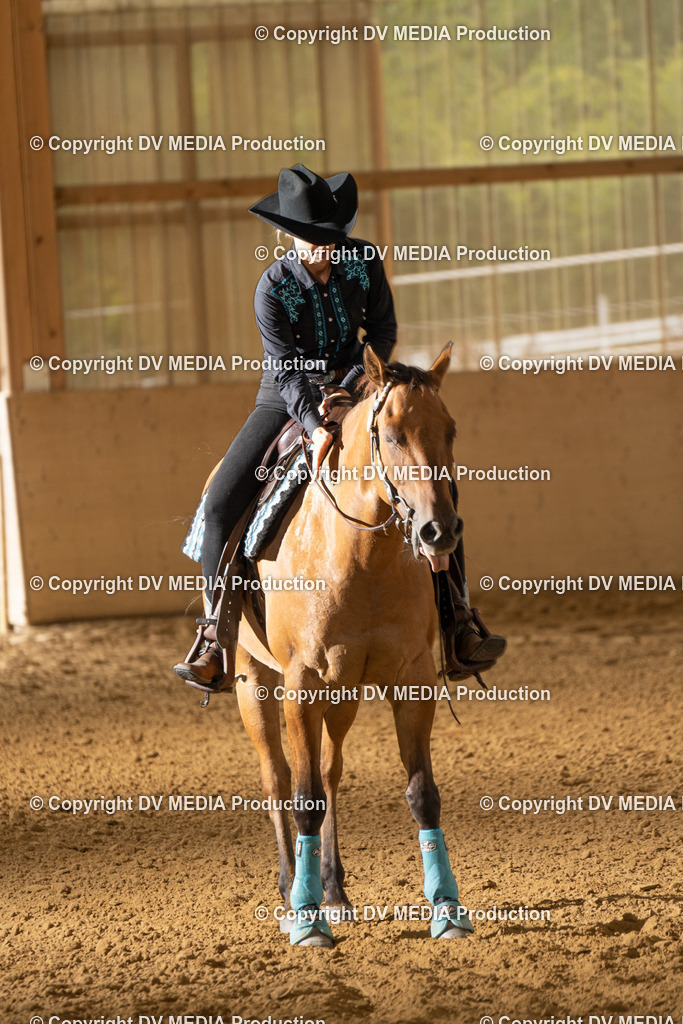 LAU01686 | dv-media-shop - Realisiert mit Pictrs.com