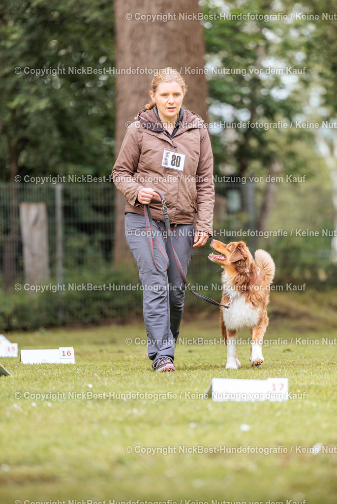 RO-Blumenthal-2026-Nickbest-Hundefotografie-3415 | Dein Hund! Dein Moment! Deine Erinnerungen! Hundefotografie in Bremen Blumenthal. Ich fange die besonderen Momente deines Vierbeiners ein – ob Indoor mit Blitzanlage oder in der freien Natur. Sicher dir dein Moment und dein Termin für eure Erinnerungen.