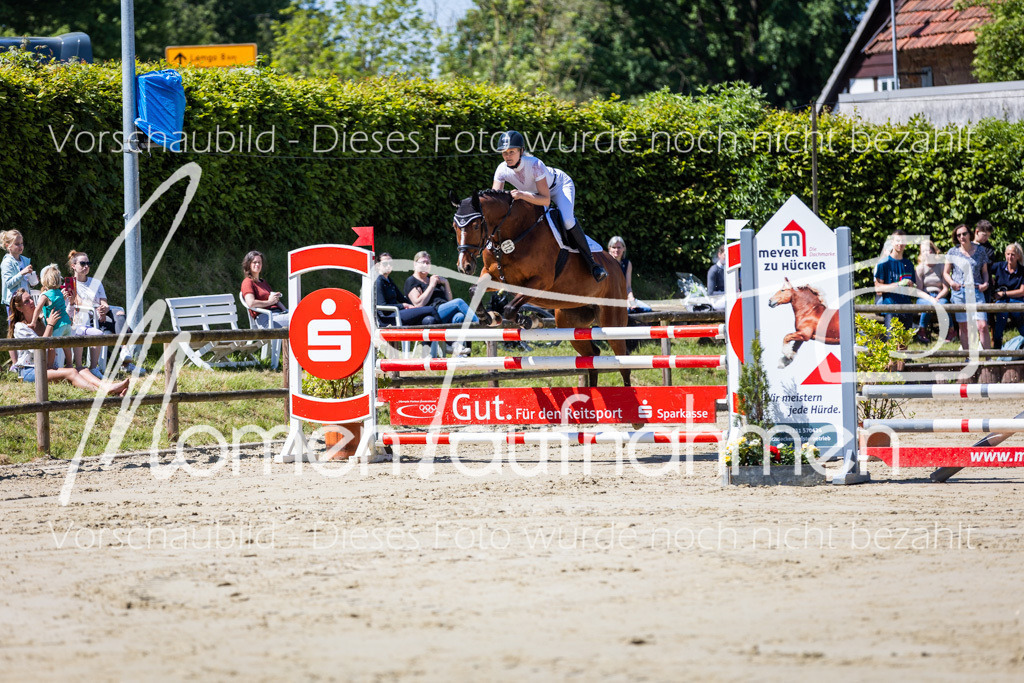 Donop24-Stil-L-009 | MomenTaufnahmen Pferdesportfotos