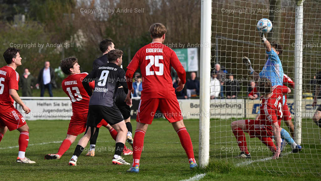 Eckernförder SV (schwarz) vs SpVg Eidertal Molfsee (rot)  | Lukas Witte (ESV #21 halb verdeckt, erzielt per Kopf das 2-1) &amp; Ole Altendorf (ESV #9) vs Livius Höckendorff (Molfsee #13) &amp; Sören Schnoor (Molfsee #25) &amp; Maximilian Meier (Molfsee #1) &amp; Tom Bräsch (Molfsee #3) / Fußball-Landesliga Schleswig Männer 2025/2026 / Eckernförder SV (schwarz) vs SpVg Eidertal Molfsee (rot)  / A-Platz / Eckernförde / 12.04.26 - Realisiert mit Pictrs.com
