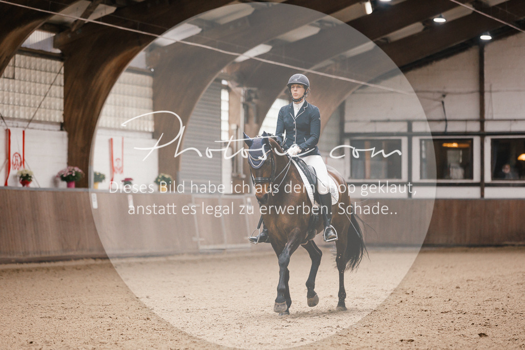 3I6A8761 | Stimmungsvolle Portraits und Reitsportfotografie im Ruhrgebiet und im Münsterland.

Pferdefotografie, Hundefotografie, Tierfotografie, Reportagen, Portraits von Tier und Mensch, Turnierfotografie in Bochum, Recklinghausen, Marl, Haltern am See, Dülmen.. - Realisiert mit Pictrs.com