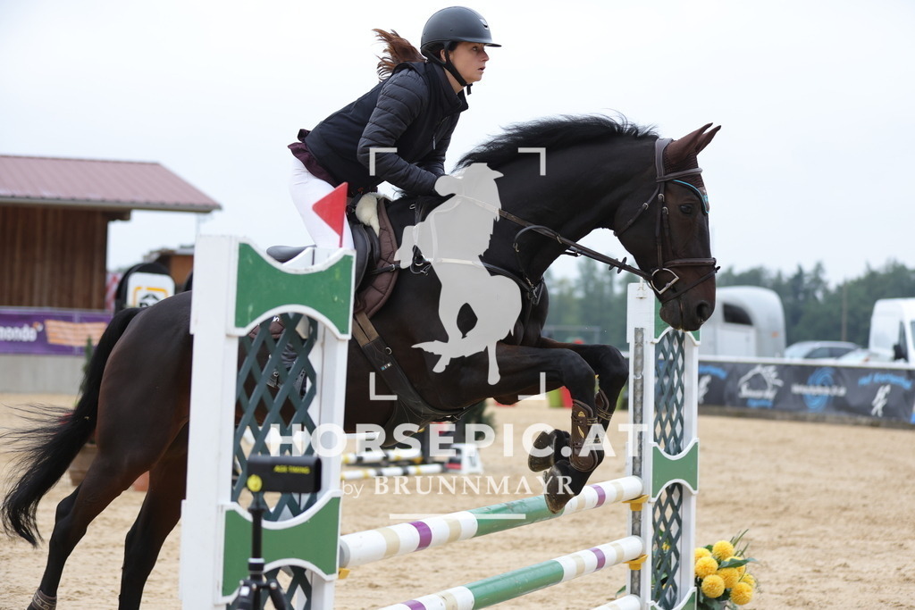 0P6A6199 | Willkommen bei Brunnmayr - Design & Fotografie – Ihrem Spezialisten für Reitturniere und Pferdeveranstaltungen in Oberösterreich, Salzburg und Bayern! Seit über 17 Jahren sind wir leidenschaftlich dabei.
