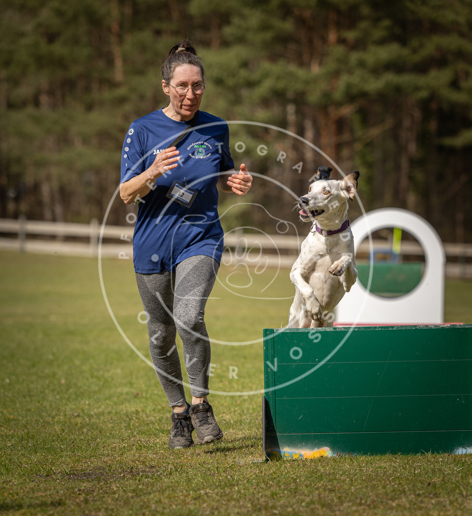 Pfotenfotografie_DV3A0677 | Hundefotografie, Tierfotograf, Pfotenfotografie, Fotoshooting Hund, Hunde Portrait, Hundesport, Hundeportraits, Heideshooting, Hunde, Sportfotograf, Hundefotograf, Turnierhundsport, THS,  - Realisiert mit Pictrs.com