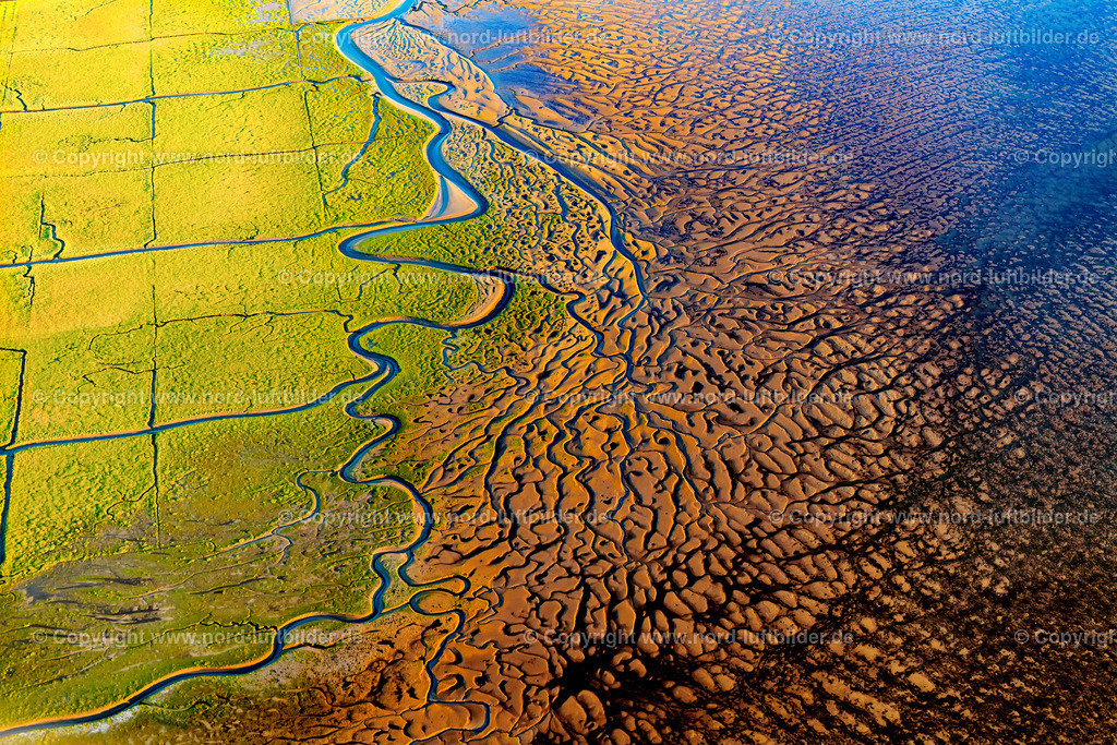 Wattenmeer_ELS_6040020718 | Wattenmeer - Aufnahmedatum: 02.07.2018, Aufnahmehöhe: 760 m, Koordinaten: N54°13.187' - E8°49.136', Bildgröße: 8256 x  5504 Pixel - Copyright 2018 by Martin Elsen, Kontakt: Tel.: +49 157 74581206, E-Mail: info@schoenes-foto.de

Schlagwörter:Niedersachsen,Gezeiten,Ebbe und Flut,Luftbild, Luftbilder, Deutschland