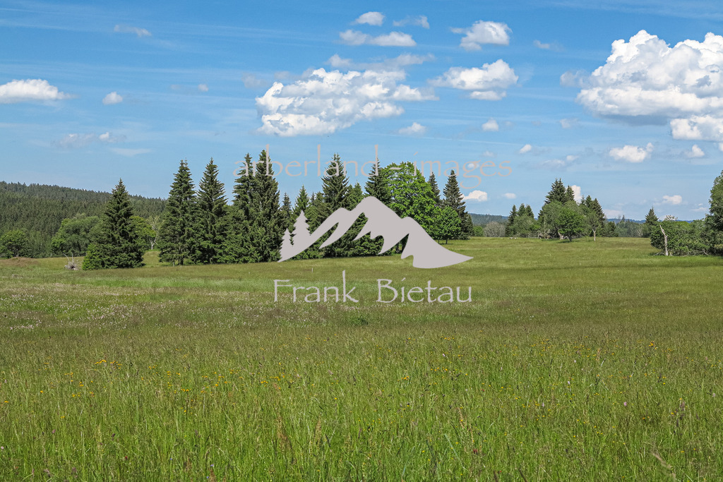 IMG_2142 | Medien- Sport- Entertainmentfotos