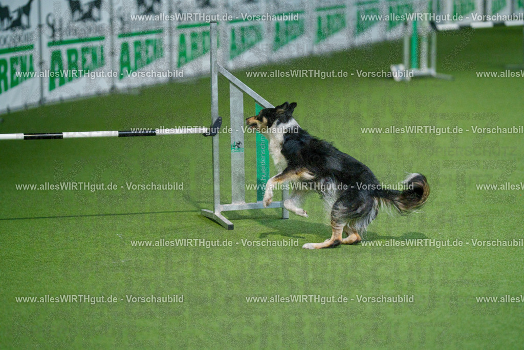 @allesWIRTHgut_Tierfotografie - www.allesWIRTHgut.de - 2604250816-7R505988 | Professionelle Tierfotografie in Mönchengladbach von Daniel Wirth (allesWIRTHgut). Liebevolle & natürliche Bilder von Hunden & Katzen für unvergessliche Erinnerungen.