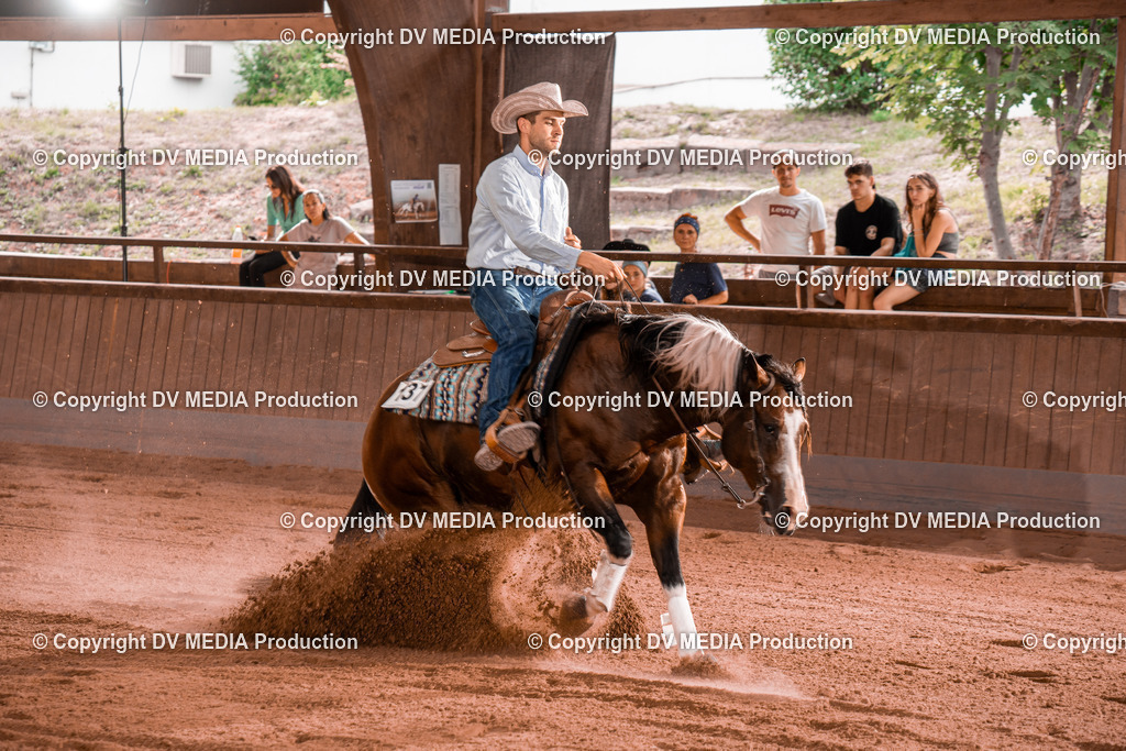 NE300850 | dv-media-shop - Realisiert mit Pictrs.com