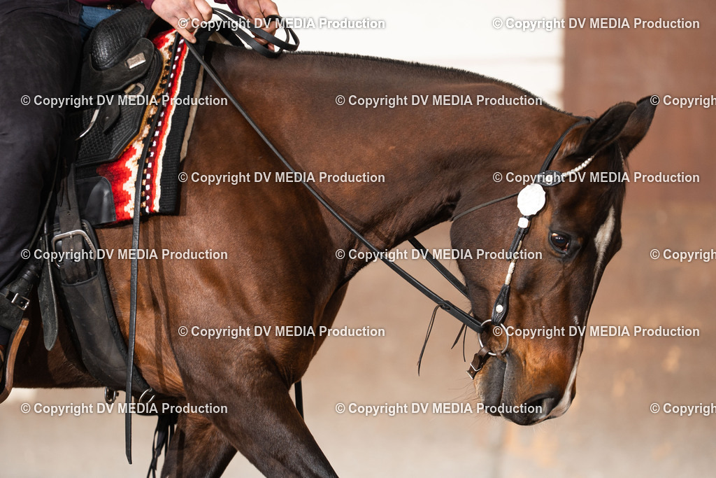 Heiligenwald Tag 1-2412 | dv-media-shop - Realisiert mit Pictrs.com