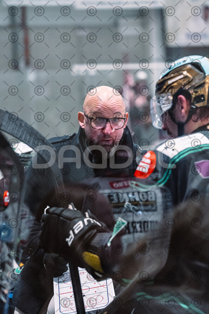 Alligators_vs_Memmingen_05_12_2025-174 | Höchstadt Alligators Fotogalerie: Eishockey-Action aus Franken. Professionelle Spielfotos, Portraits & Stadionbilder zum Download. Jetzt entdecken! - Realisiert mit Pictrs.com