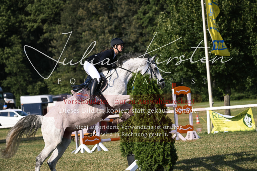 DSC_1742 | Pferde- und Turnierfotografie in Westsachsen. Pferdeportraits, Auftragszeichnungen und intuitive Kunst.