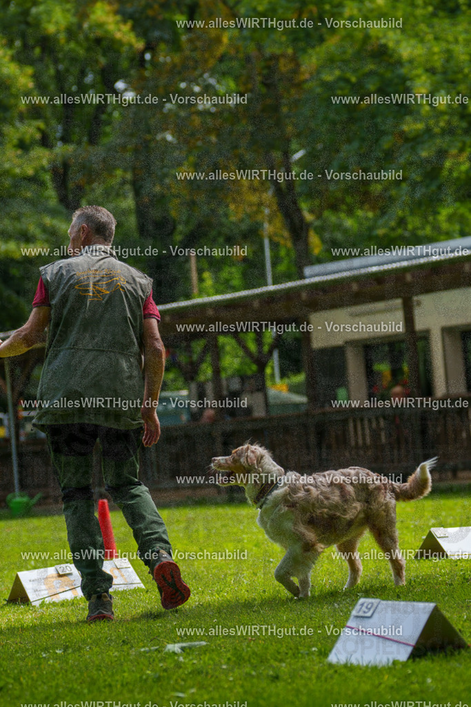 @allesWIRTHgut_Tierfotografie - www.allesWIRTHgut.de - 100204-7R507980 | Professionelle Tierfotografie in Mönchengladbach von Daniel Wirth (allesWIRTHgut). Liebevolle & natürliche Bilder von Hunden & Katzen für unvergessliche Erinnerungen.