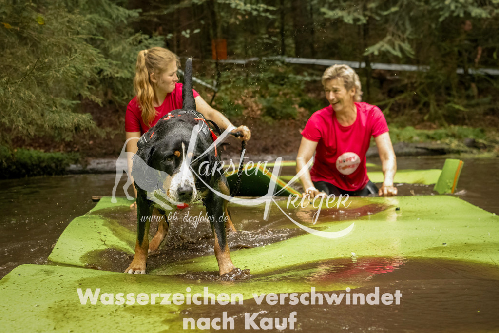 1214_ZZ93287-Bearbeitet | kk-dogfotos