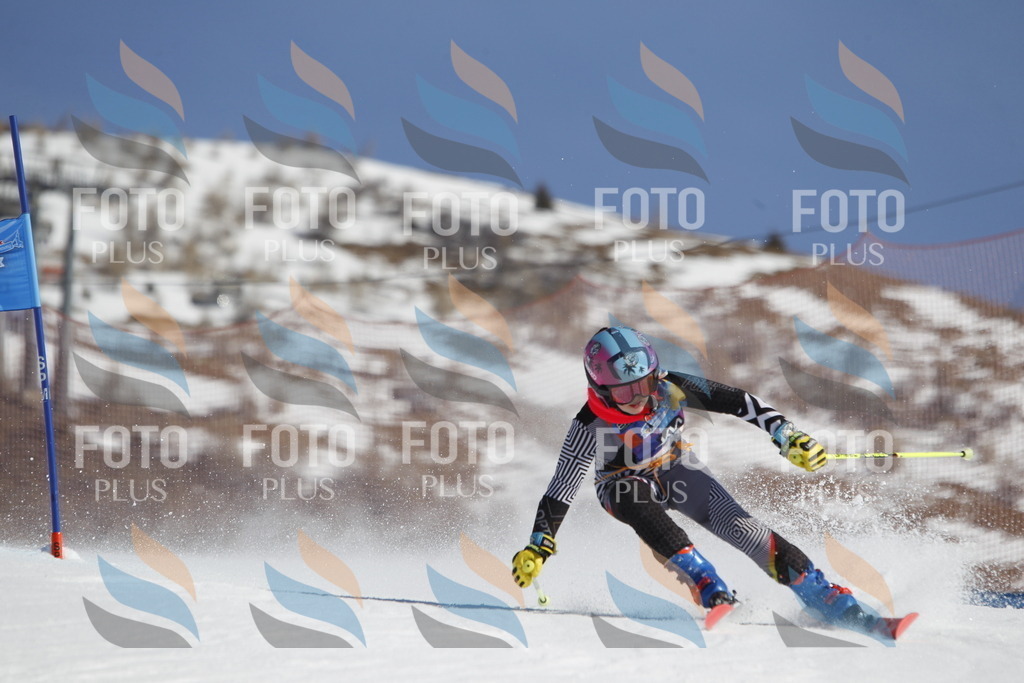 _U3G8957 | holidayphoto