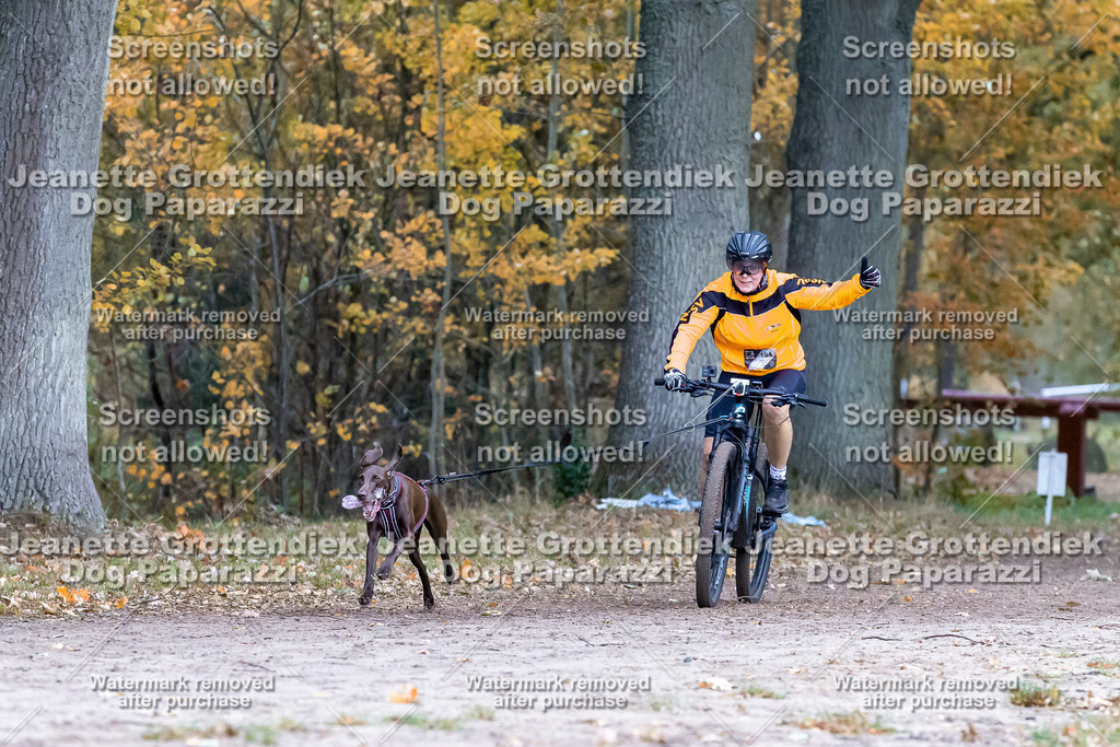 Dog Paparazzi - SD CaniX Championship 2025-226 | Dog Paparazzi Jeanette Grottendiek Fotografie & Videografie - Realisiert mit Pictrs.com