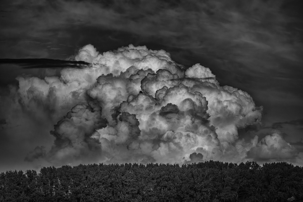 2025_07_29_HETLINGER SCHANZE_MCP0159 sw | Hochwertig gedruckte Fotografien für die Wand, als Kalender und zum Verschenken. Hamburg & Norddeutschland und überall wo ich mit der Kamera unterwegs war.