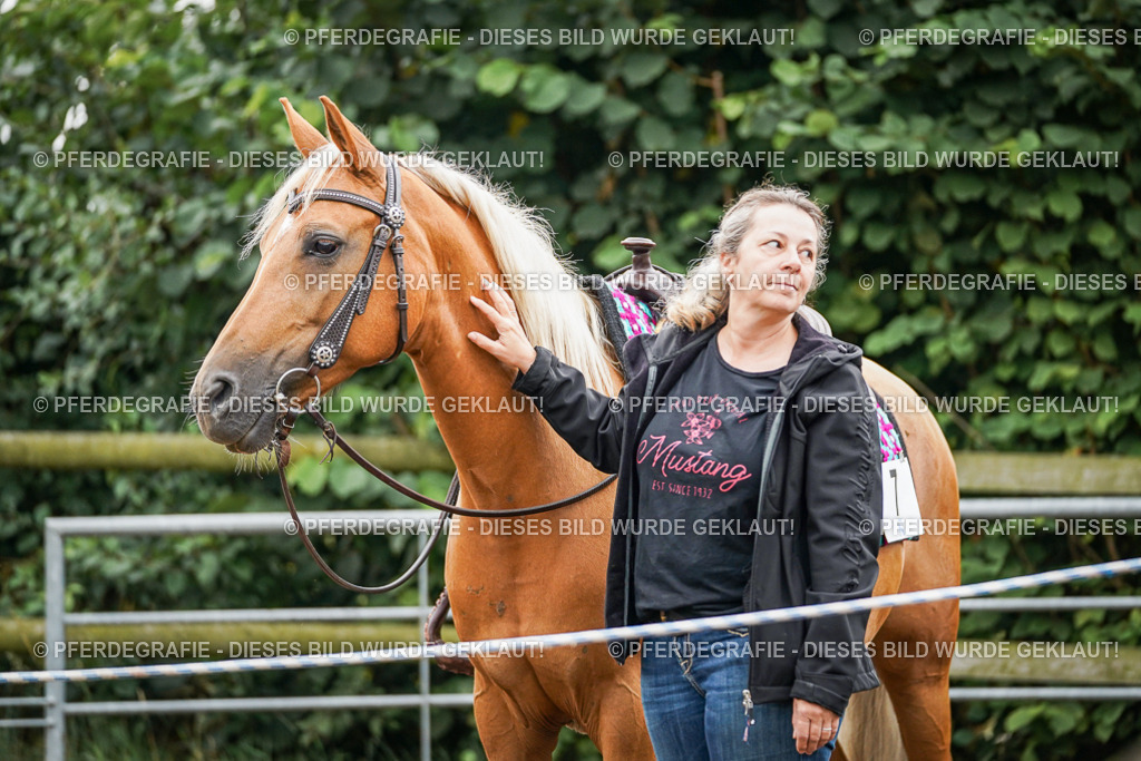 DSC03588 | Pferdegrafie