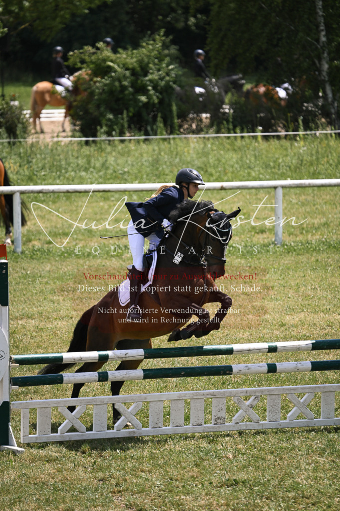 DSC_9493 | Pferde- und Turnierfotografie in Westsachsen. Pferdeportraits, Auftragszeichnungen und intuitive Kunst.
