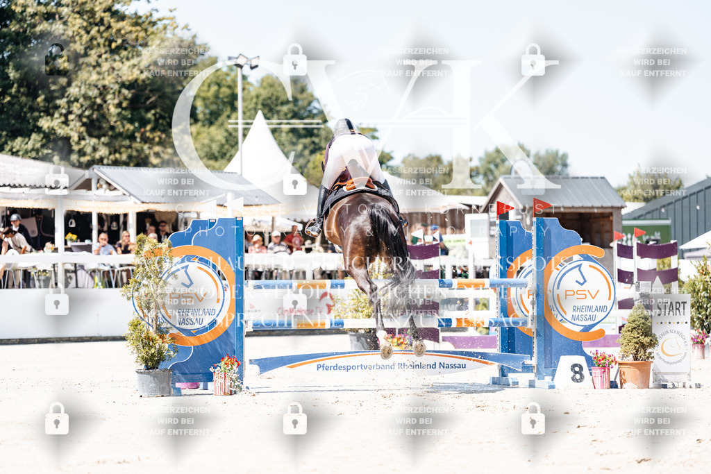 CK909435 | Turnierfotografie Pferdefotografie Trier Rheinland-Pfalz Pferdesport Reitsport Tierfotografie Sportfotografie Pferdevideo Pferdevideografie Equestrianvideography equestrianphotography  - Realisiert mit Pictrs.com