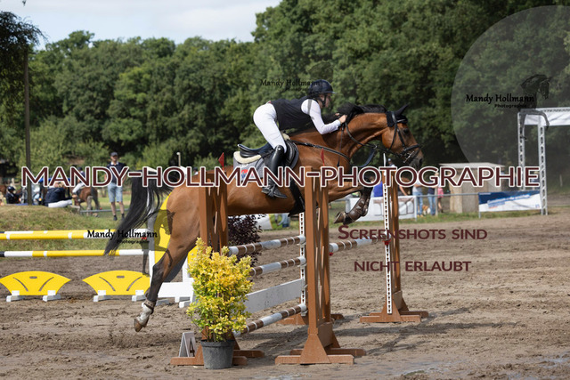 16.8.25 SPR L (301 von 1074) | mandyhollmannphotographie