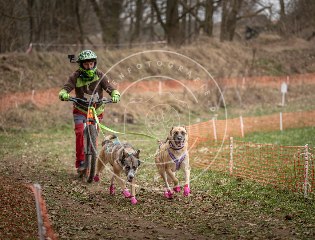 Pfotenfotografie_DV3A6608 | Hundefotografie, Tierfotograf, Pfotenfotografie, Fotoshooting Hund, Hunde Portrait, Hundesport, Hundeportraits, Heideshooting, Hunde, Sportfotograf, Hundefotograf, Turnierhundsport, THS,  - Realisiert mit Pictrs.com