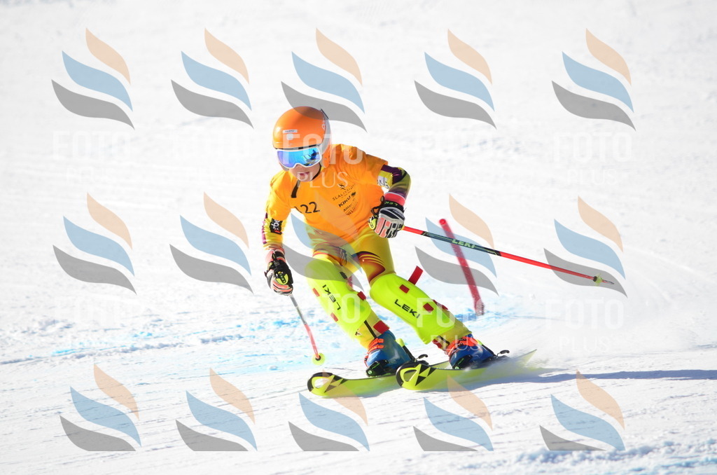 C6366 | holidayphoto