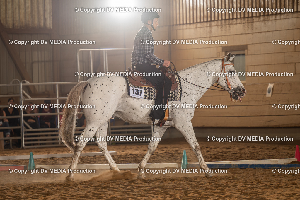 NID02484 | dv-media-shop - Realisiert mit Pictrs.com