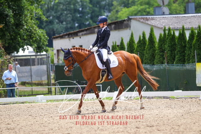 DKP42254 | Turniersportfotografie; Pferdefotografie; Dressurfotografie