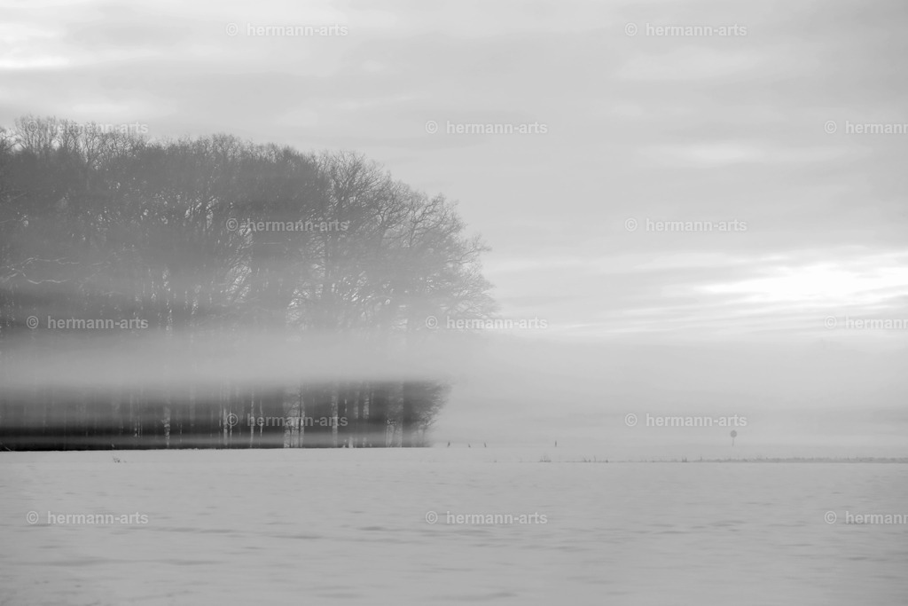 Trees_fine_Art_0023 | Photo Foto Kunst Art schwarzweiss Bilder Rheine Münster Berlin Blumen 