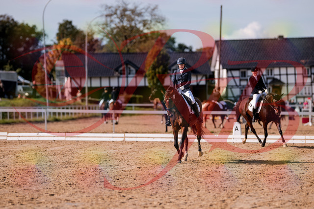 2026_10_03_Siefer-Hof_125841_Z81_48887029 | Professionelle Reitsport-, Turnier- und Eventfotografie von Robert Broda. Galerien mit ausgewählten und bearbeiteten Bildern direkt online ansehen und bestellen.
