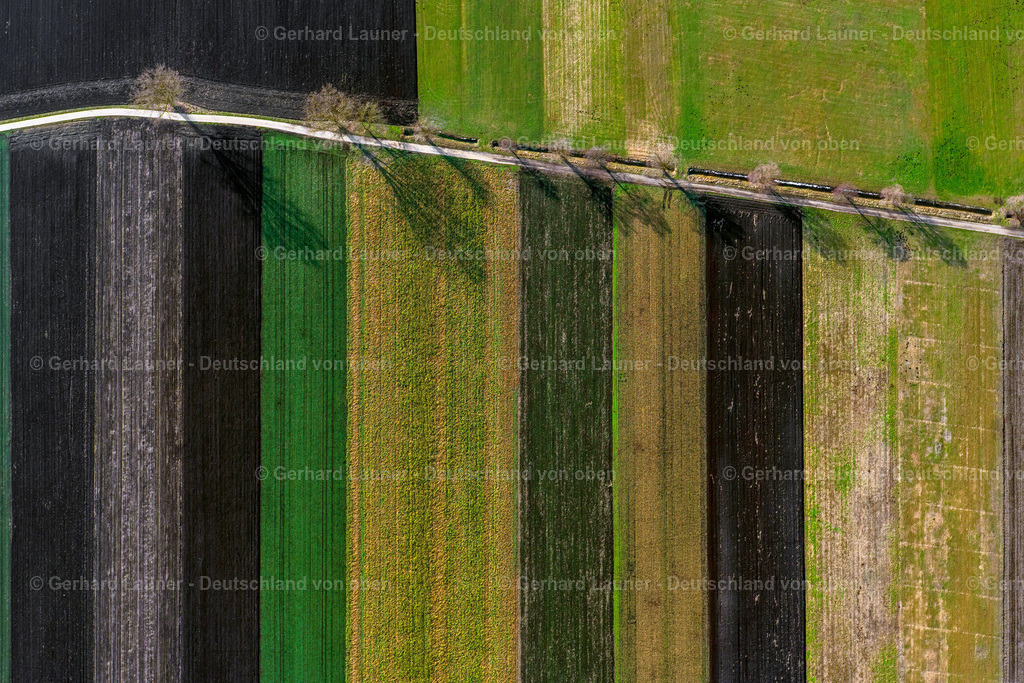 3900053 | Donauried bei Klingsmoos