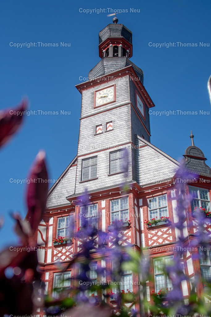 DSC_5879 | Hochwertige Fotografien aus Bensheim, der hessischen Bergstraße und dem Odenwald. Stadtansichten, Landschaften und historische Motive von Fotograf Thomas Neu- als Datei und Print erhältlich