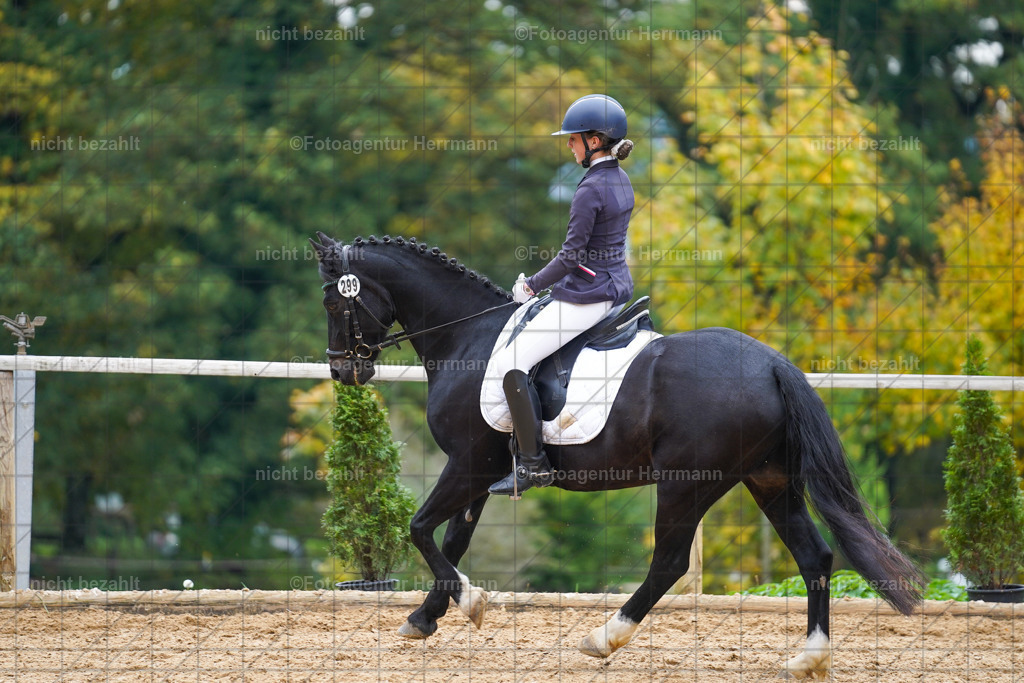 20221008-FAH01544 | Diessen am Ammersee, 2022, Dressur- und Springturnier, Reitsportbilder, Turnierfotografen Bayern, Pferdefotografen, Fotoagentur Herrmann, Turnierbilder