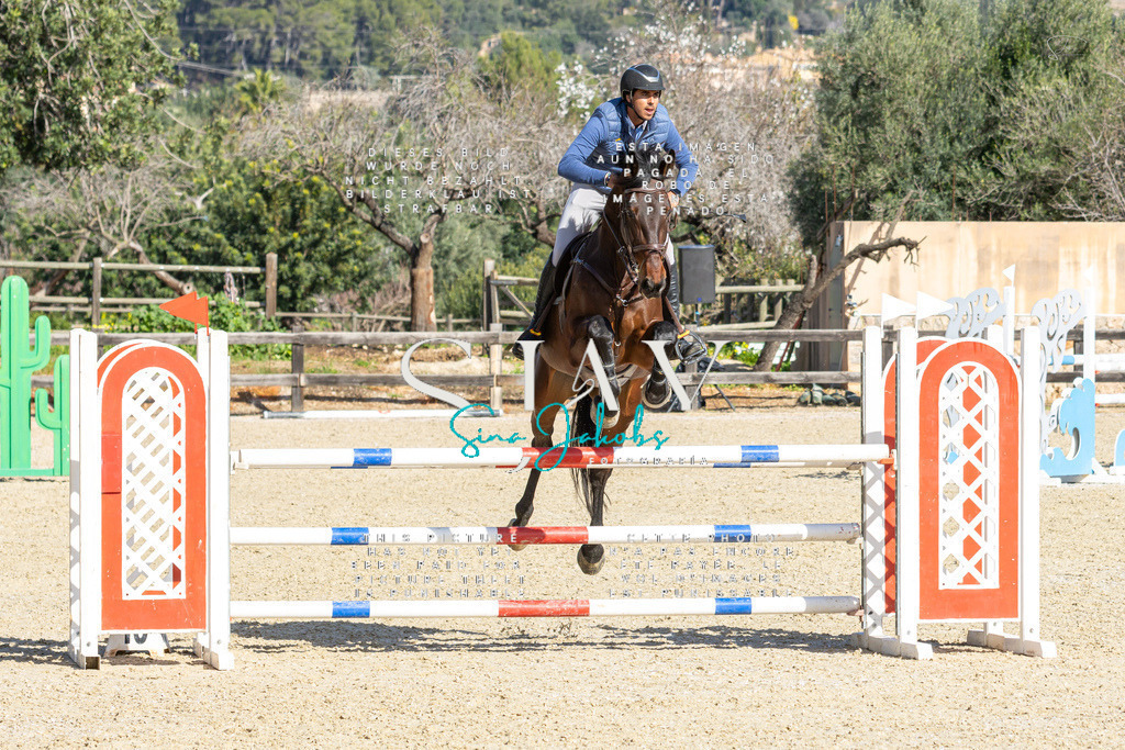 IMG_4286 | s-jay-photography - Realisiert mit Pictrs.com