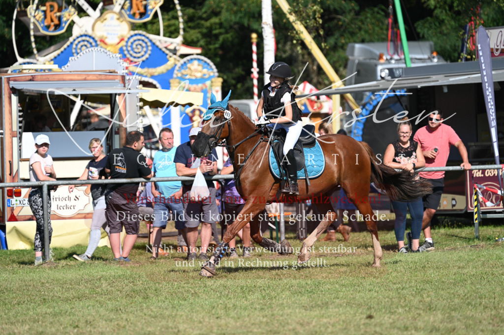 DSC_5331 | Pferde- und Turnierfotografie in Westsachsen. Pferdeportraits, Auftragszeichnungen und intuitive Kunst.