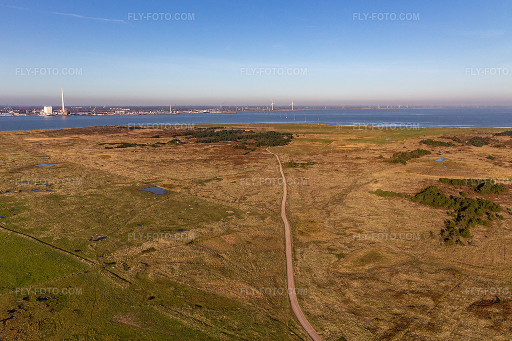 Aerial view: Wadden Sea National Park in Fanø in the state South Denmark, Denmark.Photo: IMG_118830.jpg taken on 09/21/2019 by Werner Riehm/FLY-FOTO.comResolution of the original: 5003 x 3335 px