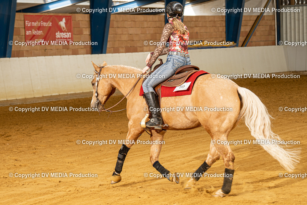 MIT00267 | dv-media-shop - Realisiert mit Pictrs.com