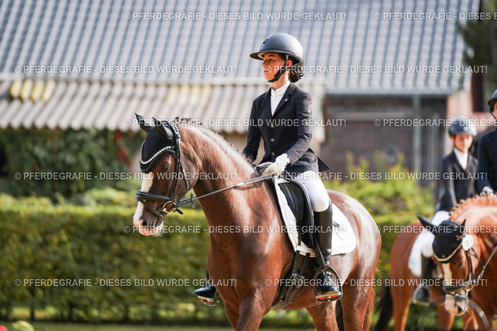 DSC05262 | Pferdegrafie