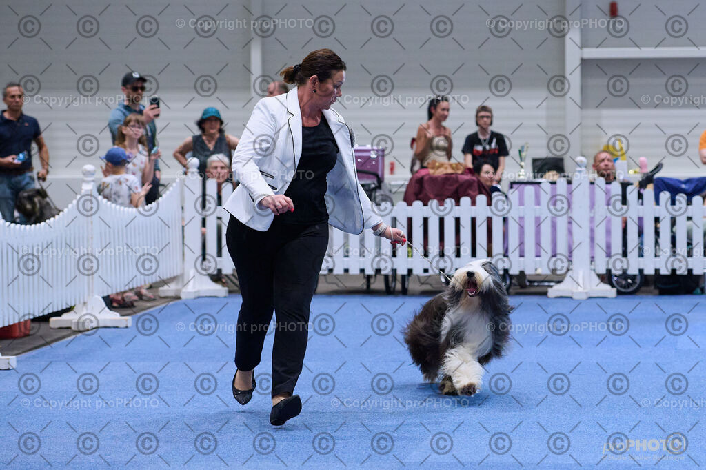 202406_ÖKV-IHA-Tulln24_DSC_3800 | proPHOTO - Realisiert mit Pictrs.com